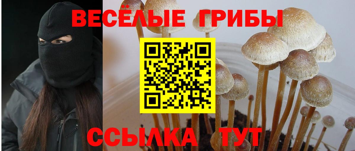 Галлюциногенные грибы GOLDEN TEACHER Ульяновск